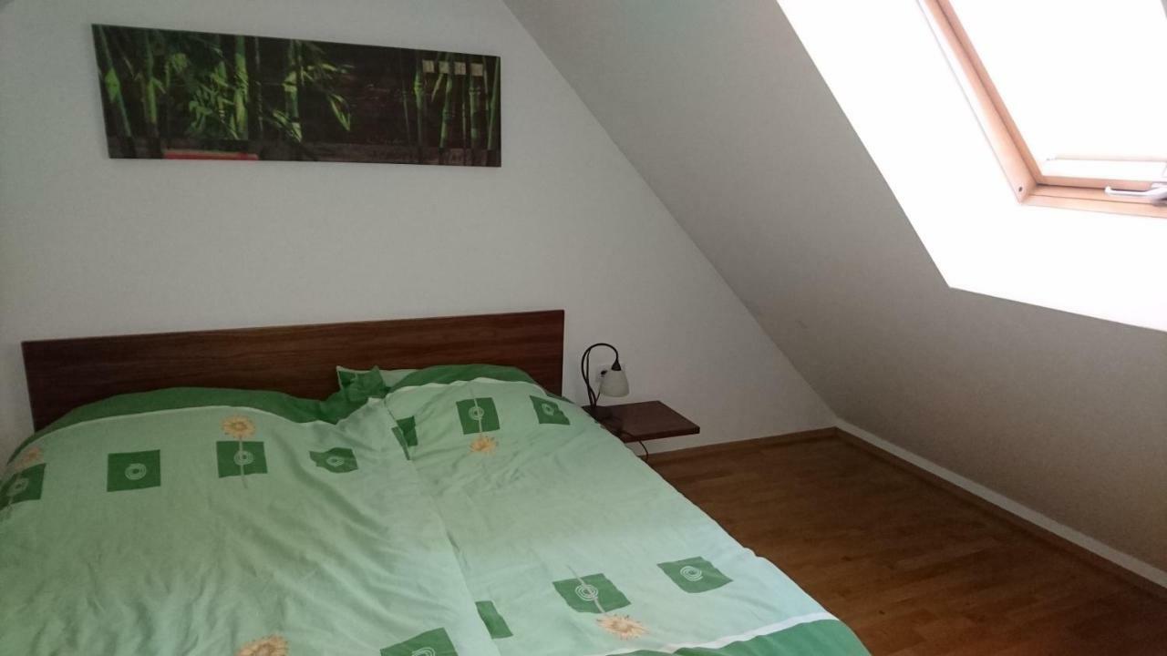 Krško Apartma Geoteh Terme Catez 6032ヴィラ エクステリア 写真