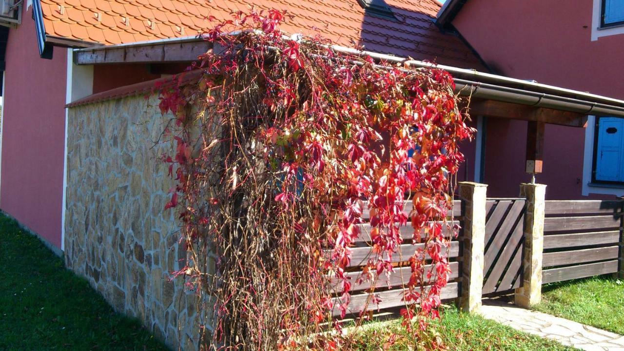Krško Apartma Geoteh Terme Catez 6032ヴィラ エクステリア 写真